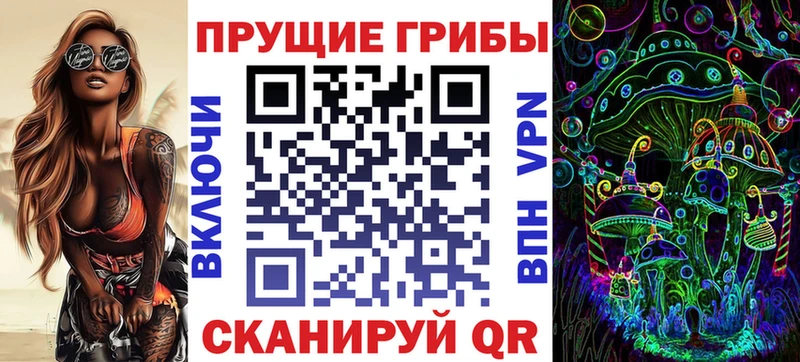 Псилоцибиновые грибы Psilocybe купить Ясный