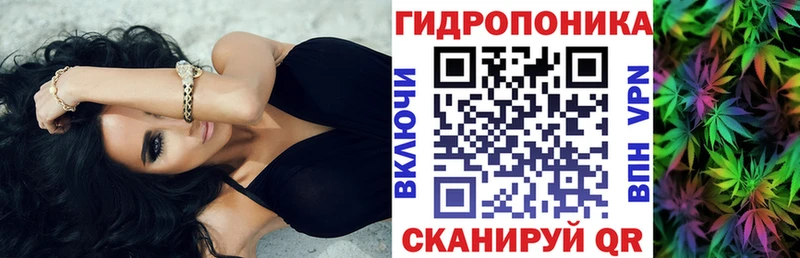Каннабис планчик  Ясный 